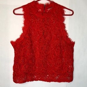 Zara Trafaluc Eyelash Lace Shirt Zipper Back